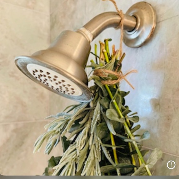 2x Eucalyptus Bundle - Picture 6 of 6